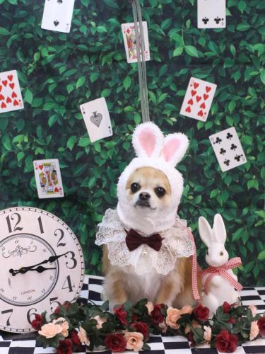 20250401りるちゃん